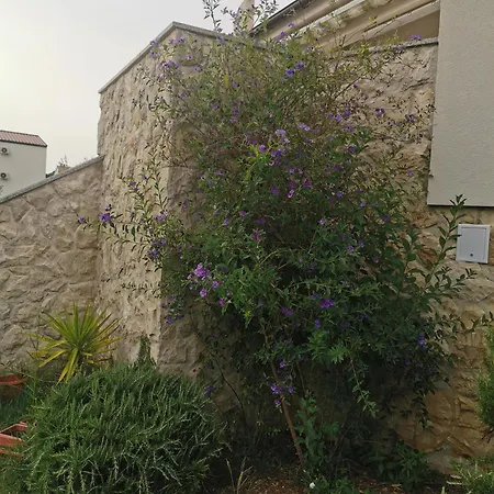 Apartament Riva *