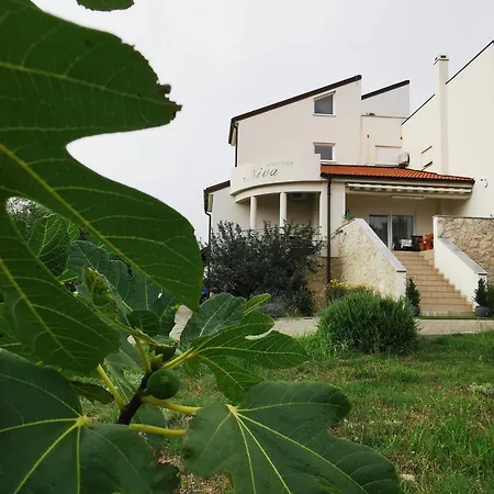 Riva Apartmán Povljana