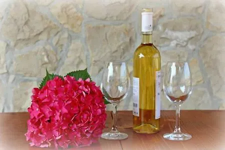 Riva Apartament