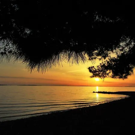 Riva Apartament *
