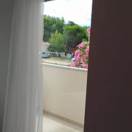 Riva