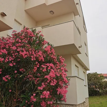 Riva Apartment