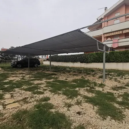 Riva Povljana